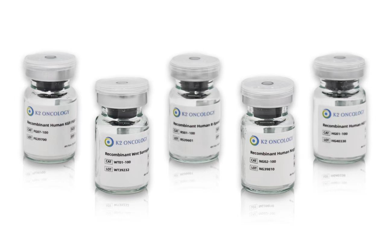 1731479368969228knXr.jpg 91dd015eca76bcca9dc7be3d5b4c9ab.jpg